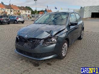 Voiture accidenté Skoda Fabia  2019/12