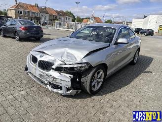 škoda osobní automobily BMW 2-serie  2018/6