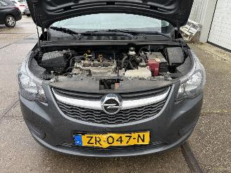 Opel Karl 1.0 120 Jaar Edition Navigatie picture 9
