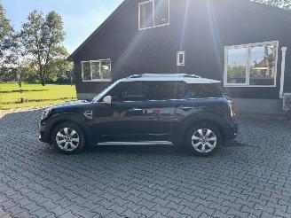 Mini Countryman COOPER 1.5 NAVI CLIMA CAMERA LED PDC B.J 2019 picture 8