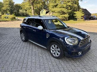 Mini Countryman COOPER 1.5 NAVI CLIMA CAMERA LED PDC B.J 2019 picture 9