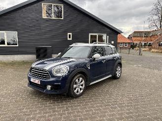 Damaged car Mini Countryman COOPER 1.5 EDITION NAVI CLIMA CAMERA LED KEYLESS B.J 2019 2019/7