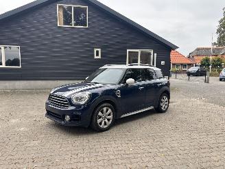 škoda osobní automobily Mini Countryman 1.5 EDITION NAVI CLIMA CAMERA LED KEYLESS B.J 2019 2019/7