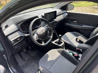 Dacia Sandero FACELIFT STEPWAY 110 PK EXTREEM NAVI CLIMA CAMERA LED CRUISE B.J 2024 picture 9