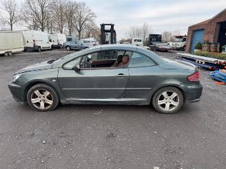 Peugeot 307 CC picture 8