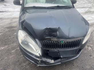 Skoda Fabia  picture 10