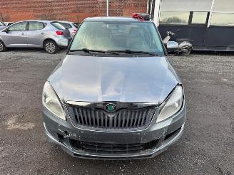 Skoda Fabia  picture 14