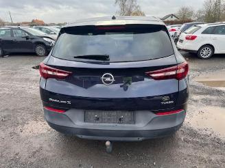 Opel Grandland X picture 6
