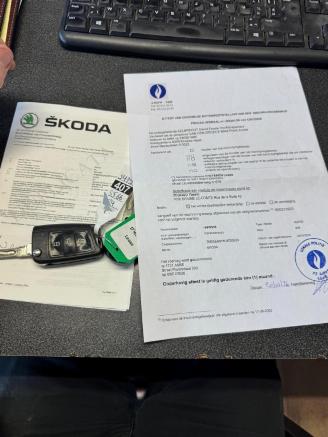 Damaged car Skoda Rapid  2018/3