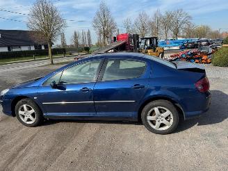 Peugeot 407  picture 7