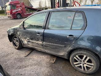 Volkswagen Golf V picture 6