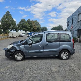 Citroën Berlingo II picture 2