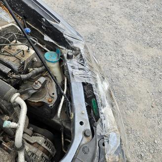 Honda Civic  picture 19