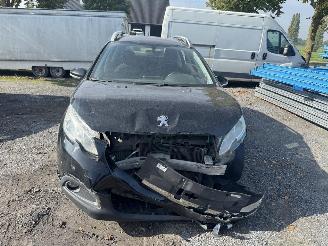 Peugeot 2008 ACTIVE picture 13