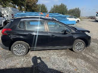 Peugeot 2008 ACTIVE picture 11