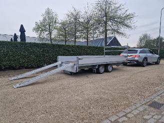  Henra  400CM x 200CM MET RIJPLATEN 2010/4