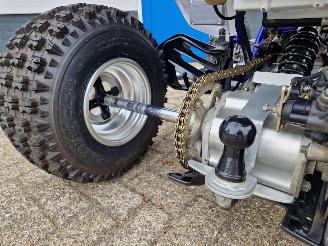 Yamaha YFM 660 RAPTOR 660 R picture 18