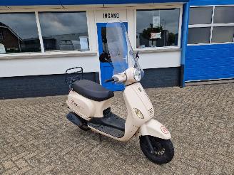 damaged scooters BTC  RIVA 25KM , A klasse blauw kenteken 2017/9