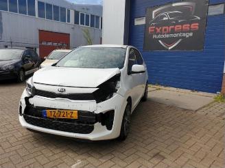 demontáž osobní automobily Kia Picanto Picanto (JA), Hatchback, 2017 1.0 12V 2018/11