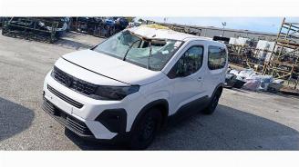 Sloopauto Peugeot Rifter Rifter (ER/EC/EZ), MPV, 2018 e-Rifter 2025