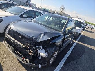 Seat Arona 1.0 tsi picture 2