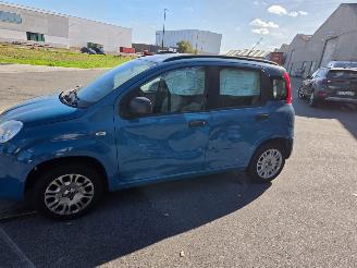Fiat Panda  picture 7