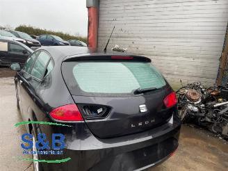 Seat Leon Leon (1P1), Hatchback 5-drs, 2005 / 2013 1.4 TSI 16V picture 22