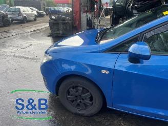 Seat Ibiza Ibiza ST (6J8), Combi, 2010 / 2016 1.2 TDI Ecomotive picture 29