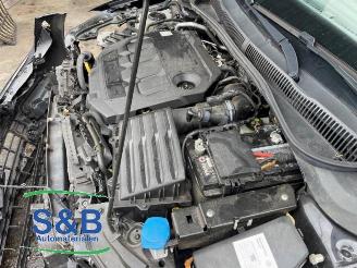 Volkswagen Polo Polo VI (AW1), Hatchback 5-drs, 2017 1.6 TDI 16V 95 picture 26