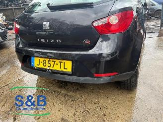 Seat Ibiza Ibiza IV SC (6J1), Hatchback 3-drs, 2008 / 2016 1.4 16V picture 24