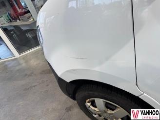 Nissan Interstar  picture 15