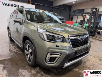 Subaru Forester  picture 3