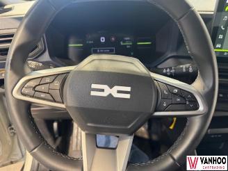 Dacia Duster  picture 17