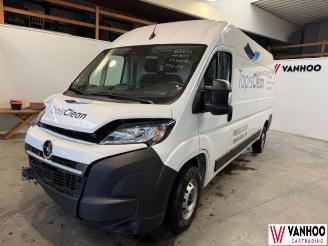 Voiture accidenté Opel Movano  2024/11