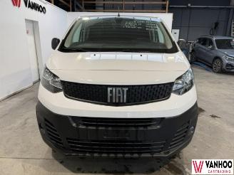 Fiat Scudo  picture 2