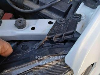 Ford Ranger WILDTRAK picture 39