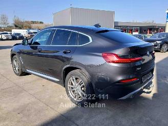 BMW X4 XDRIVE20I picture 4