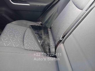 Toyota Rav-4  picture 11