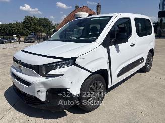 Citroën Berlingo  picture 6