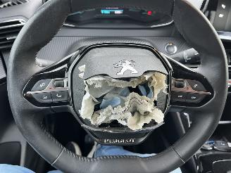 Peugeot 208 ELEKTRO - NAVIGATION - KLIMATRONIK picture 22