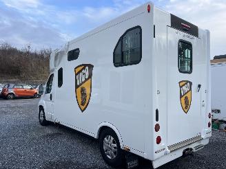 Peugeot Boxer THEAULT PROTEO  PFERDE picture 5