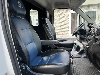 Peugeot Boxer THEAULT PROTEO  PFERDE picture 10