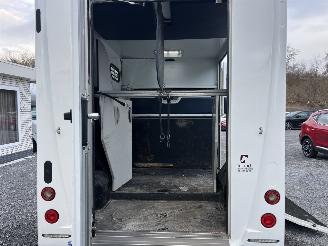 Peugeot Boxer THEAULT PROTEO  PFERDE picture 20