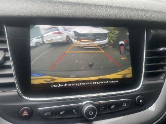 Opel Grandland 1.2 AUTOMAAT Turbo Business Executive search picture 20