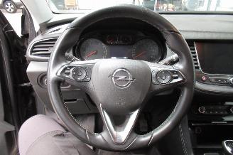 Opel Grandland SUV picture 18