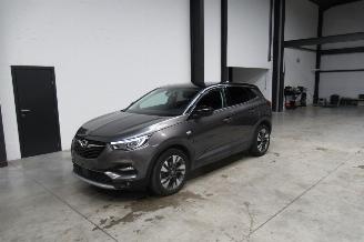 Avarii autoturisme Opel Grandland SUV 2019/9