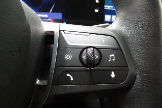 BMW X1 SUV picture 27