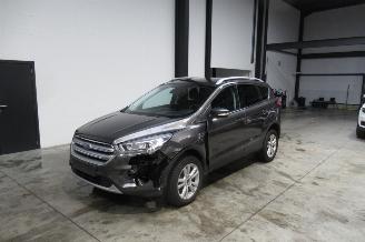 Auto incidentate Ford Kuga BUSINESS 2019/11