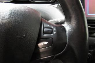 Peugeot 208 SEDAN picture 19