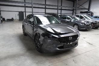 Mazda CX-30 SUV picture 6